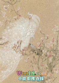 越鸟简介