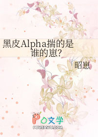 黑皮2b