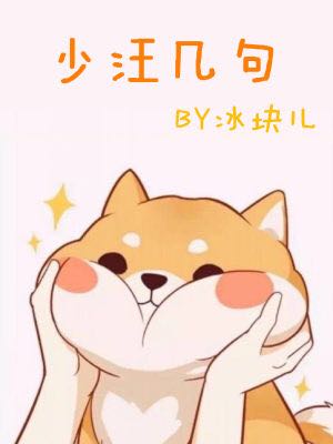 少汪几句txt下载